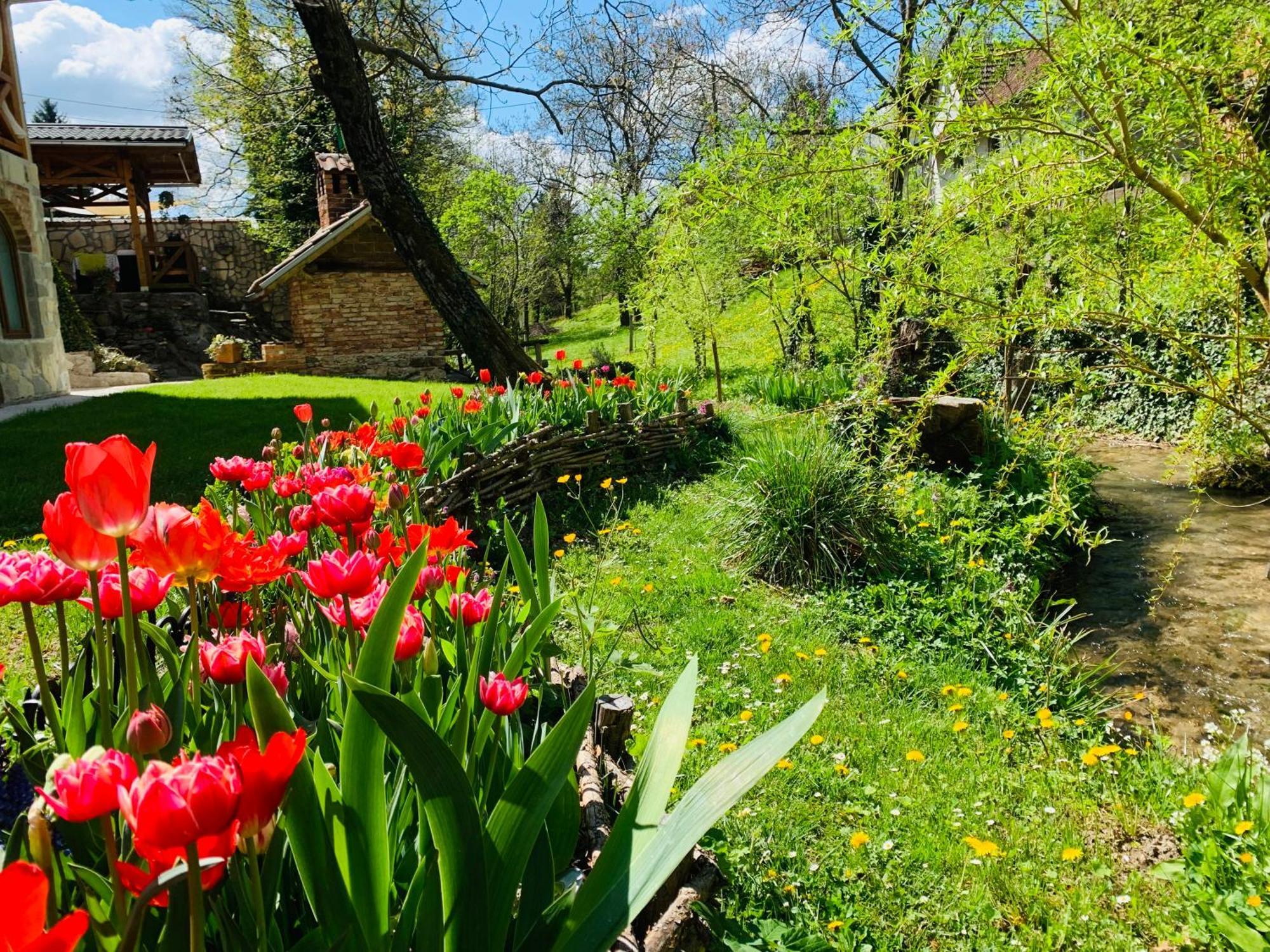 Kuca Za Odmor Carolija Villa Jastrebarsko Exteriör bild