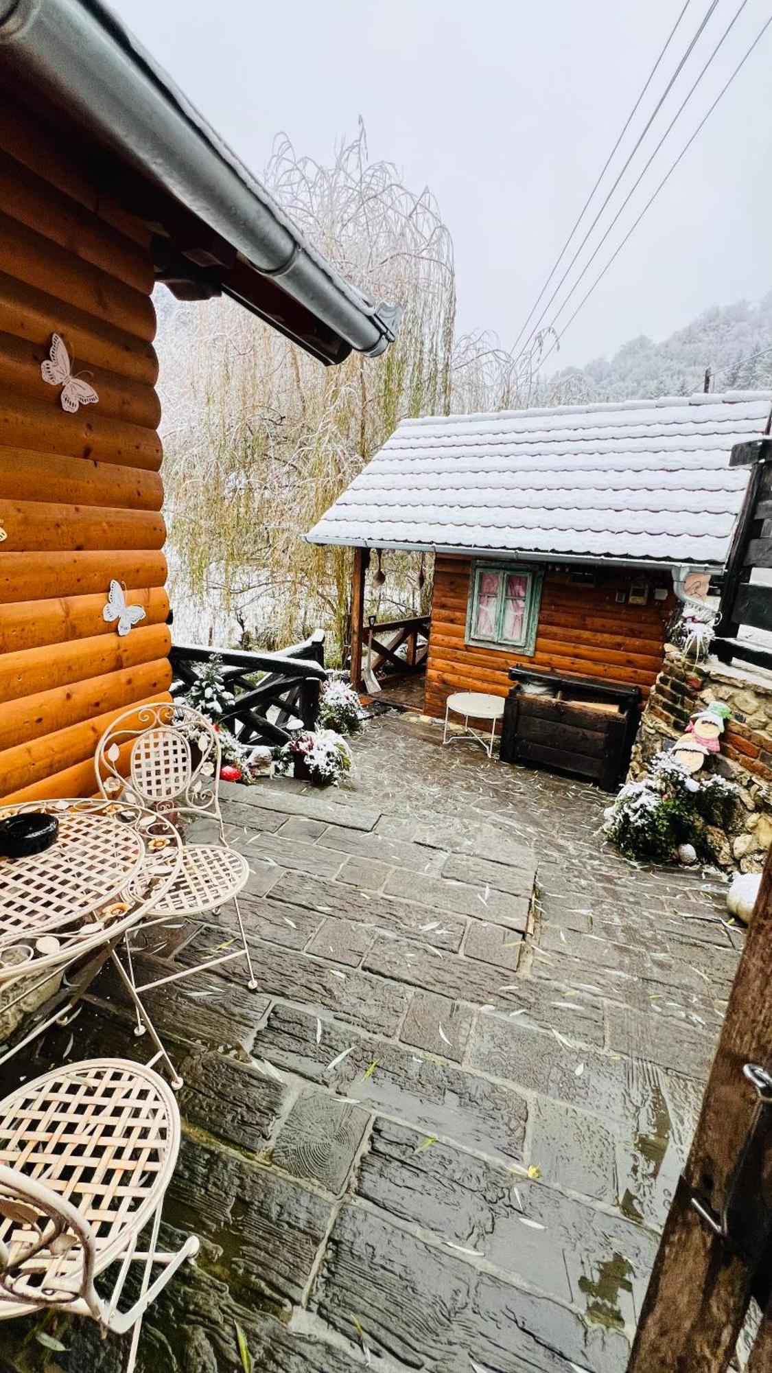 Kuca Za Odmor Carolija Villa Jastrebarsko Exteriör bild